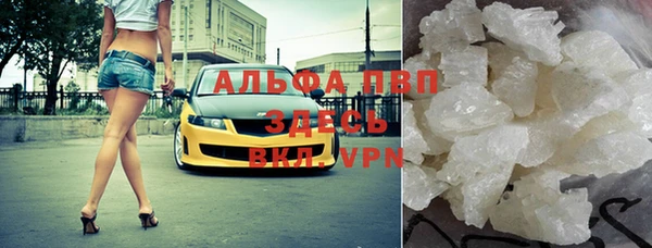 эйфоретик Каменногорск