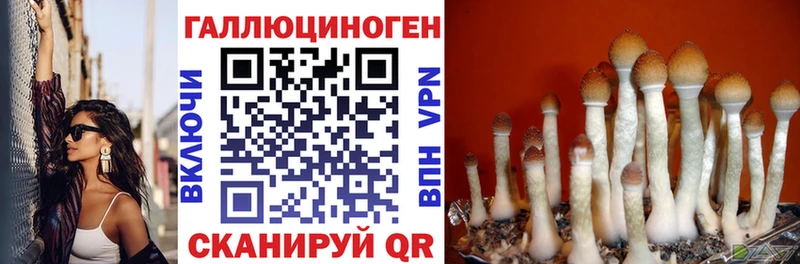 omg где купить Челябинск Псилоцибиновые грибы мухоморы